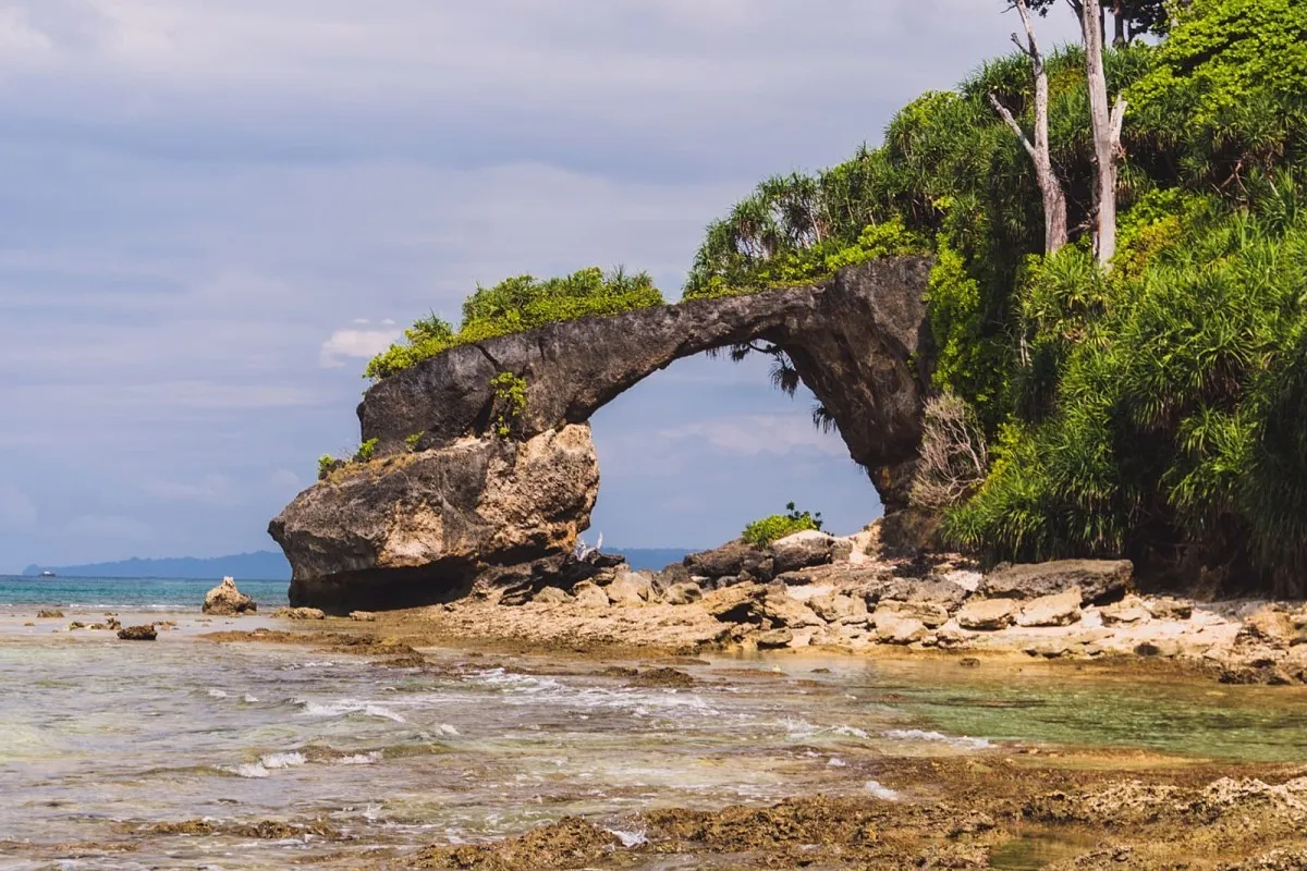 What Are the Best Tour Packages for the Andaman Islands? A Complete Guide for Indian Travellers (2026)
